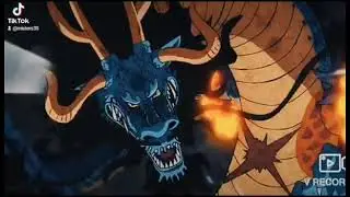 luffy vs kaido