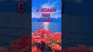 МИРА, СЧАСТЬЯ и ДОБРА  !.
