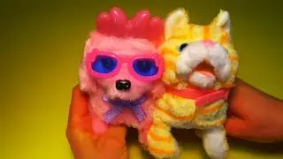 Играем в игрушки, котенок с собачкой 🐈🐕 Детское развлекательное видео для малышей