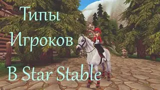 Типы игроков в Star Stable Online