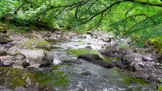 4k Forest Mountain River. Relaxing Water Sounds for Sleep, Relax. White Noise River Sounds 10 Hours.