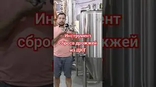 Устройство сброса дрожжей из ЦКТ 