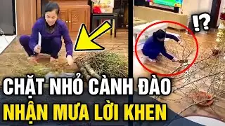 Chặt vụn cành đào trước khi vứt rác, 'HÀNH ĐỘNG NHỎ' của gia chủ nhận mưa lời khen | Tin 3 Phút