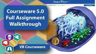 Courseware 5.0: Full Assignment Walkthrough