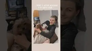 Другие вселенные ) #мальтезе #йорк #вселенная #бесконечная