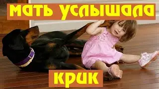 Взяли собаку из приюта. И вот что произошло.