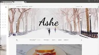 How to Use Alternative Sidebar in ASHE & BARD Free Wordpress Themes