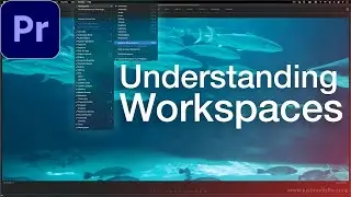 Adobe Premiere Pro CC: Understanding Workspaces (Reset Windows, Custom Layouts, Panels) (Tutorial)