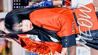 [쟈바미 유메코(YUMEKO JABAMI)] 레이디비(LADY.B) 시온(SION) [미야오(MEOVV) | 미야오(MEOW)] 홍대 버스킹 241026
