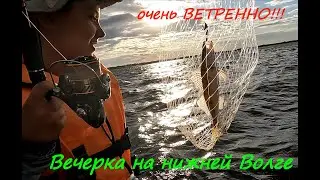 Нижняя Волга красива, но опасна из за ветров. Судак на закате.