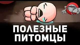 The Binding of Isaac: Afterbirth - Челленджи #9