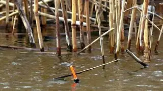 РЫБАЛКА В КАМЫШАХ НА ПОПЛАВОК С МОРМЫШКАМИ. КРУПНЫЙ КАРАСЬ, КРАСНОПËРКА, САЗАН И ДАЖЕ ЩУКА!