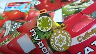 КАКИЕ ТОМАТЫ ВЫБРАТЬ? КРУПНОПЛОДНЫЙ СОРТ ПУДОВИК. Обзор Ольги Черновой.