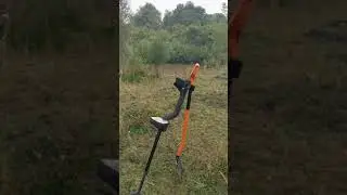 Монеты на краю деревни