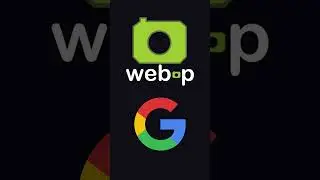 JPG vs PNG vs WEBP vs GIF vs SVG