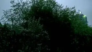 Соловьи в Купчино
