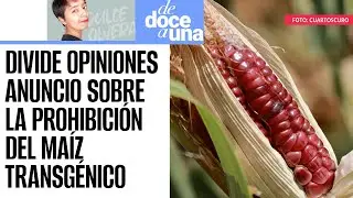 #DeDoceAUna¬ Agroindustria reacciona a postura antitransgénicos del futuro Secretario de Agricultura