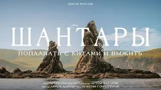 УВИДЕТЬ КИТОВ В РОССИИ: ДОРОГО, СТРАШНО и НЕЗАБЫВАЕМО! Рындевич на Шантарских островах