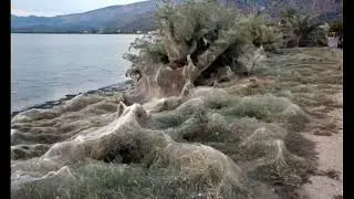 Aitoliko, Etoliko, Etolia-Acarnania, Greece, Αιτωλικού