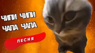 Песня Клип ЧИПИ ЧИПИ ЧАПА ЧАПА Rasa Пчеловод ПАРОДИЯ CHIPI CHIPI CHAPA CHAPA DUBI DUBI