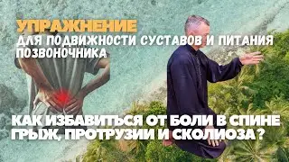 Как избавиться от боли в спине, грыж, протрузии и сколиоза?