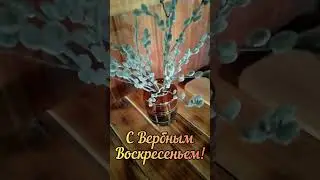 28 апреля 2024 г.