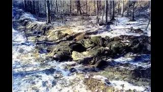 Как вышестоящие убивают молодых ребят. Дикобраз