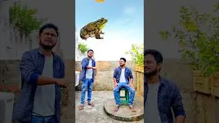 Food vs insects & girl funny vfx magic | Kinemaster editing
