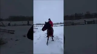 Скинет ли меня лошадь? Объездка в первый раз