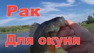 Эта приманка дала прикурить окуням , Старые места опять дали рыбу
