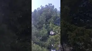 Томская область. село Каргасок.