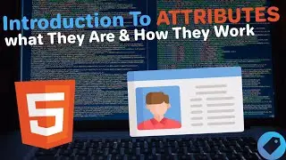 Introduction to Attributes in HTML: An Overview of what They Attributes & How They Work