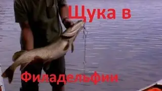 Диалоги о рыбалке - 170- Рыбалка в Америке, Филадельфия.