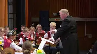Пираты Карибского моря / Pirates of the Caribbean - Orchestra of Russian Folk Instruments