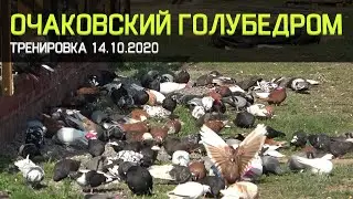 ОГ сезон 2020. Тренировка 13.10.2020