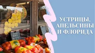 Устрицы, Апельсины и Поход в Зоопарк. Флорида