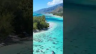 Islands bring happiness 🤗💗🏝️ #beach #drone #inspiration #travel #beautiful #waves #ocean