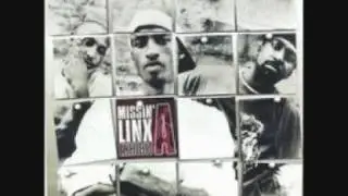 Missin' Links- M.I.A