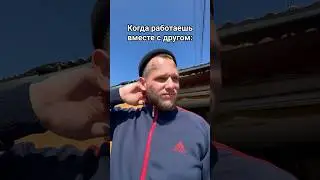 Бабок подняли