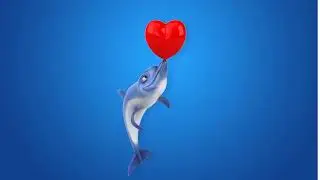 Fun dolphin-FOOTAGE