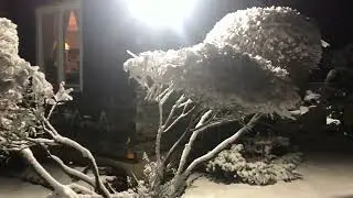 Зимняя сказка на даче.