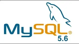 How to Install MySQL Server on Windows