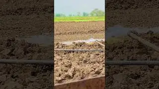 #ultinataortesting#farmtrac6050 #khetvich