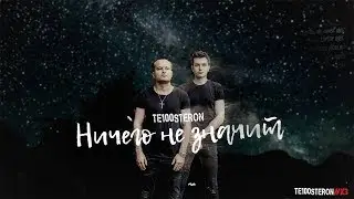 Те100стерон - Ничего не значит (Lyric Video)