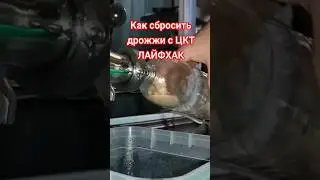 как сбросить дрожжи с цкт? 