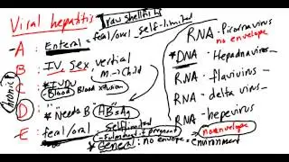 Viral Hepatitis Made Simple!