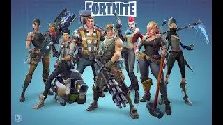 fortnite чисто несколько боев)