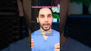 Cenobamate Mechanism Of Action