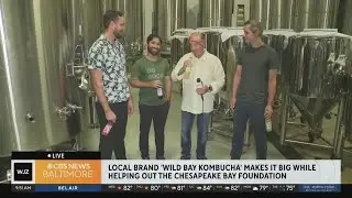 Drink local, live wild with Wild Bay Kombucha