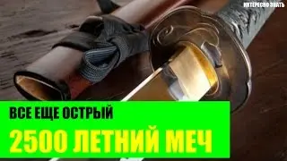 Все еще острый 2500 летний китайский меч